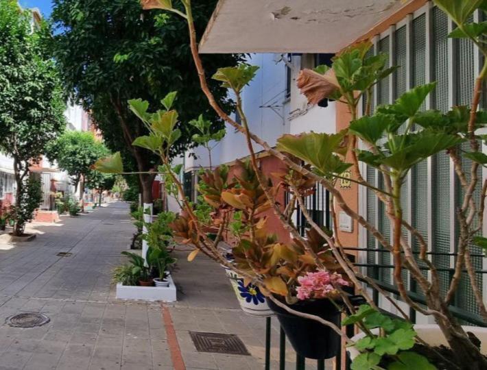 דירות סביליה Apartamento Triana מראה חיצוני תמונה